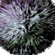 Image for article titled 5 Eye-Popping Designs That Visualize Sound